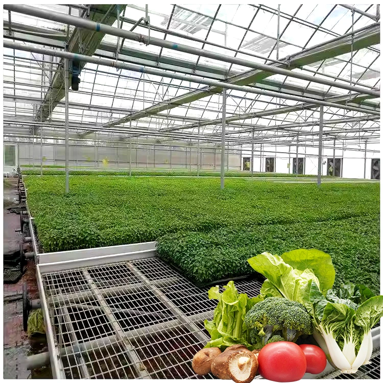 Cash Commodity Hydroponic Grow Tomato Vegetable Plant Seedbed Ebb And Flow Tray Rolling Benches And Tables For Sale