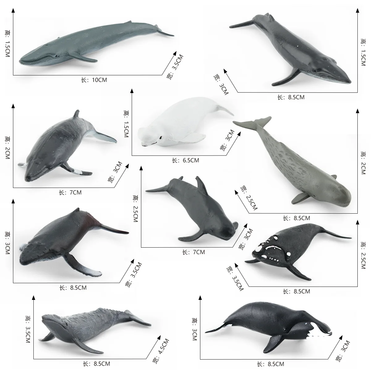 HY - simulation of Marine animal model right whale Beluga Humpback set decoration