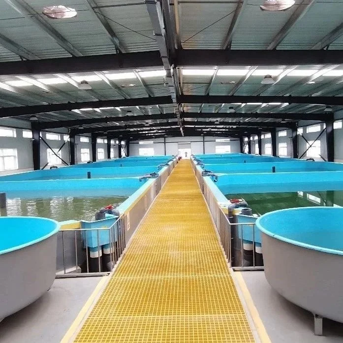 fish tank culture systems