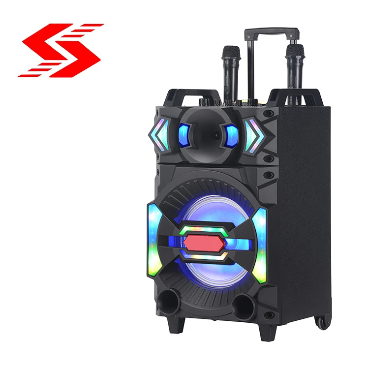 2021 new, 10 inch, trolley bass speaker, DJ sound effect, with USB TF BT TWS FM microphone