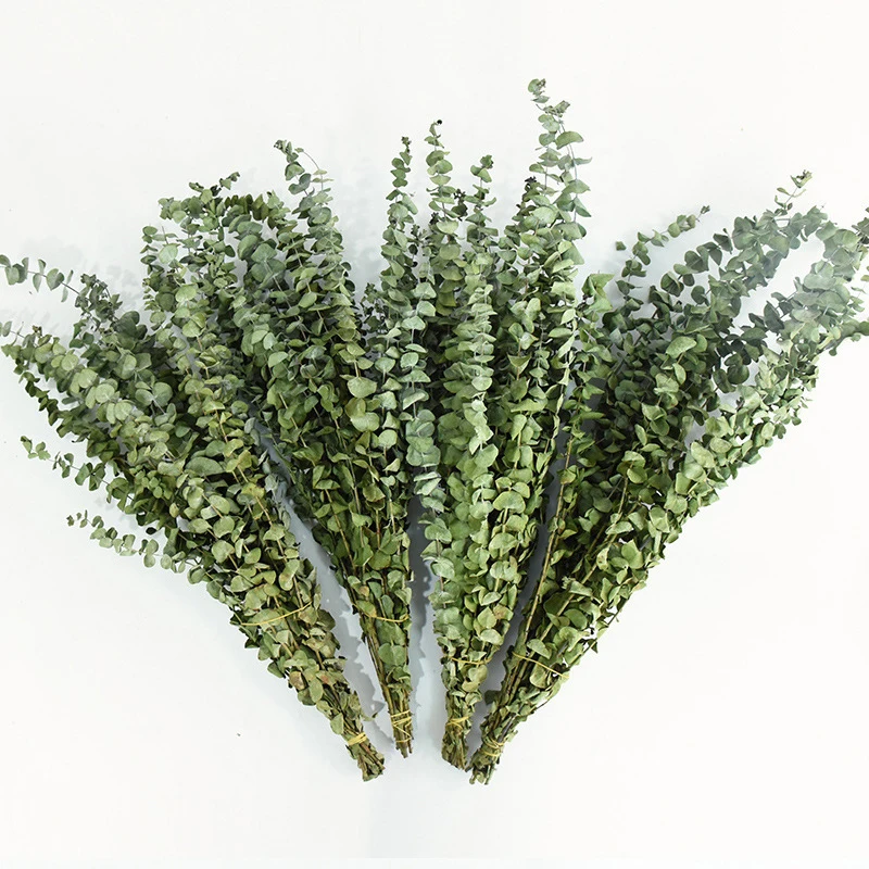 Wholesale dried flowers and plant flowers bouquet natural eucalyptus leaves for home weeding decoration