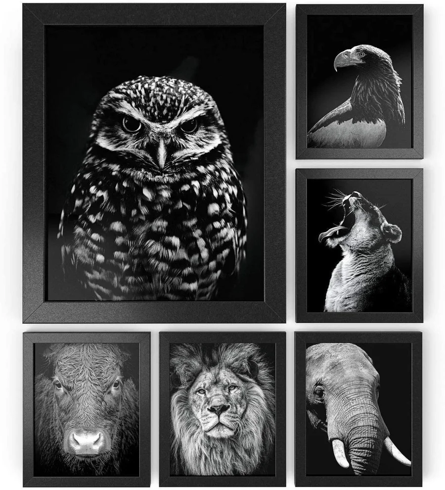 Picture Frames, 4 x 6 inch,Black,photo frame