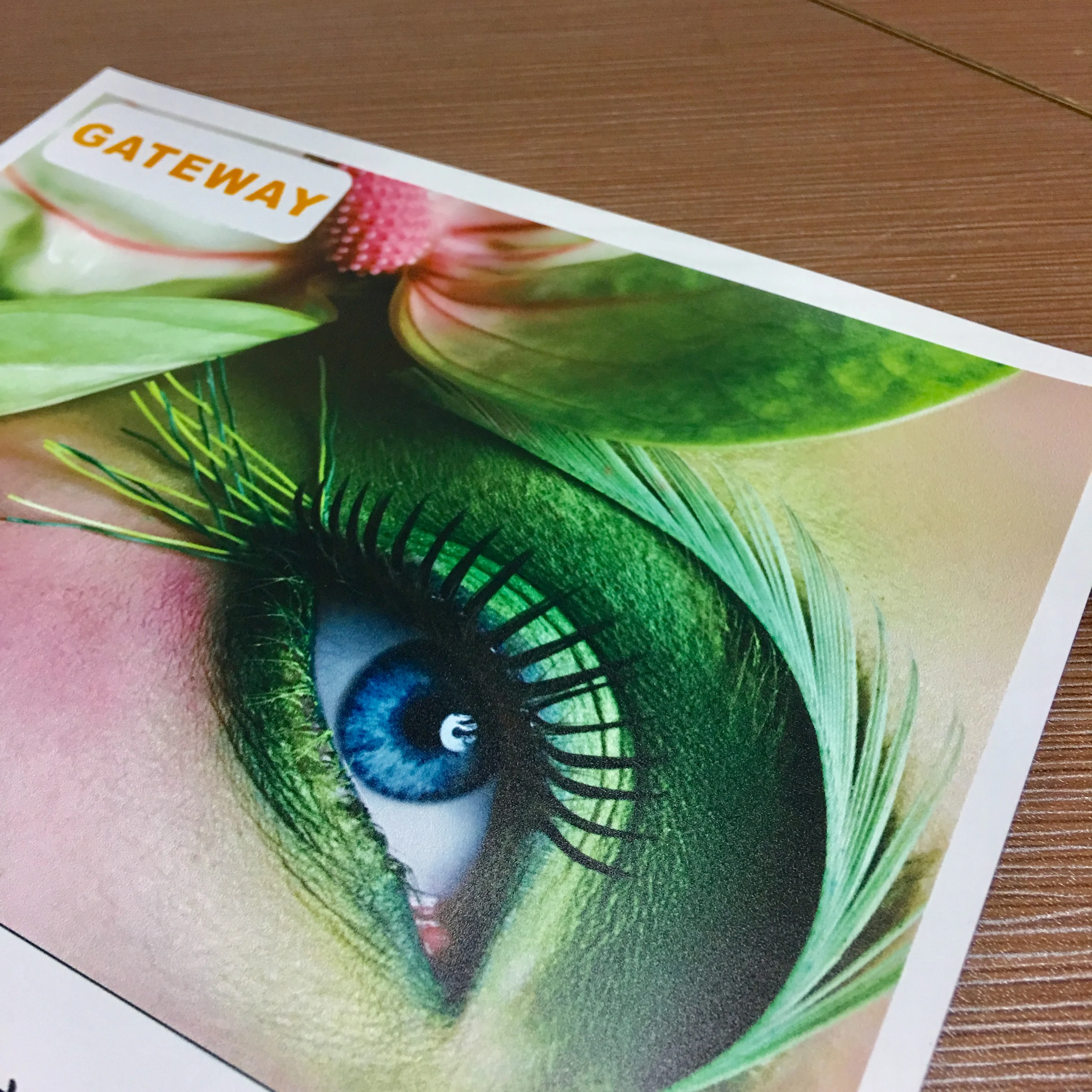 Эко-растворитель струйная полипропиленовая синтетическая бумага рулон матовая Водонепроницаемая полипропиленовая бумага