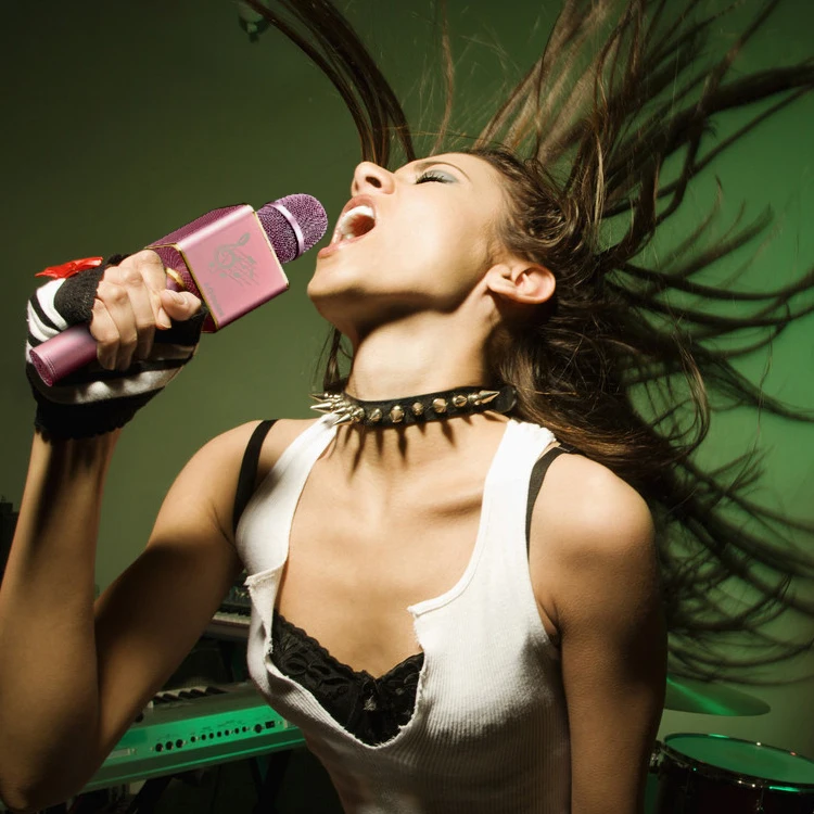 JY50 Handheld Mic Karaoke Wireless Party Handheld Singing Recorder Party Speakers with Mic Karaoke Wireless Microphone