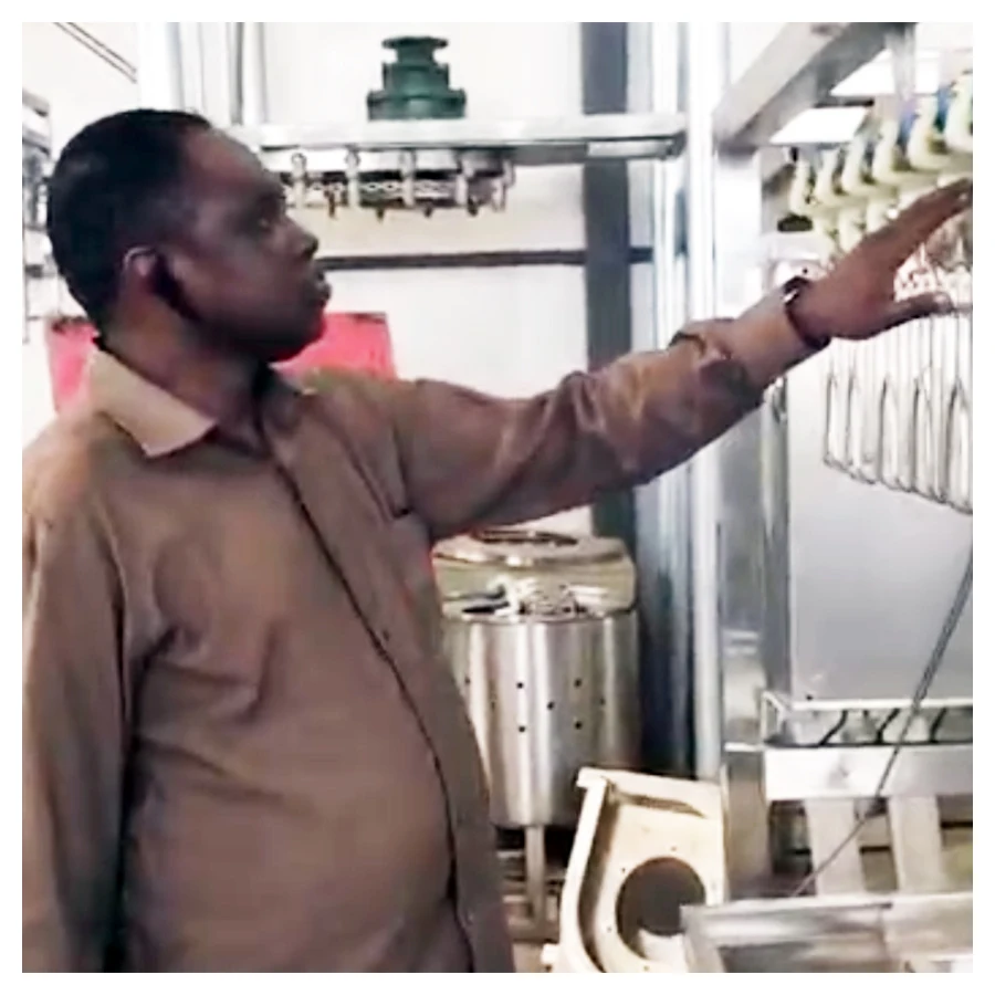 centrifugal poultry hair removal machine / plucking machine / bird/quail/chicken/duck/goose feather plucker