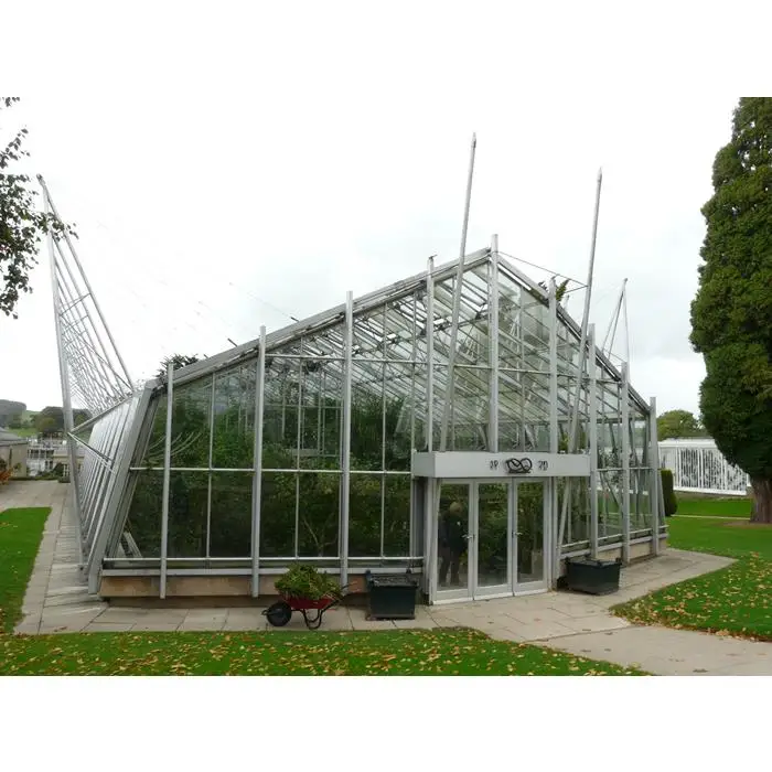 Cheap Agriculture Greenhouse with Vents System for Tomatoes Cucumber Chili Vegetable Planting Greenhouses with PE Film