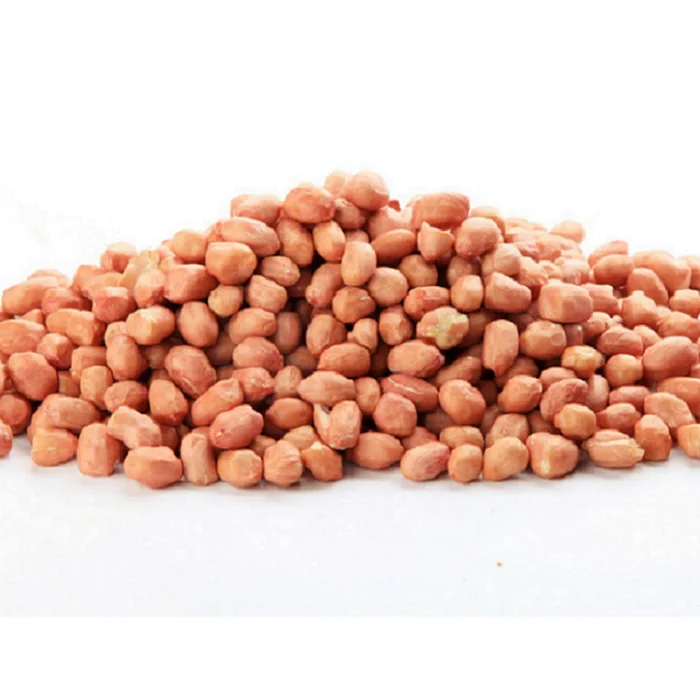 Crunchy Peanuts for Snack Factory