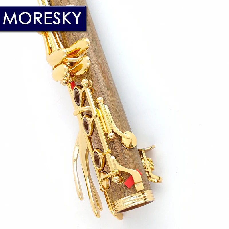 Professional Wind Instrument Bb Tune Clarinet Gold Plated 18 Keys Guaiacumofficimale Wood Clarinette Klarnet
