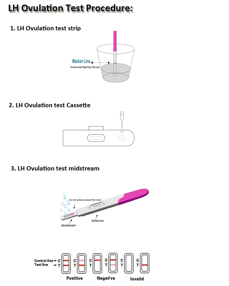 LH Ovulation Test