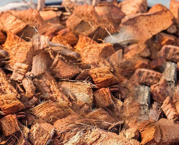 COIR HUSK CHIPS