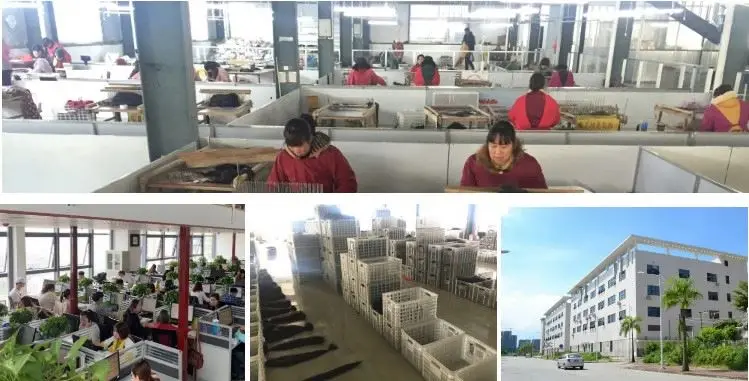 2024 virgin quality V light ultrasonic Hair extension virgin hair stock