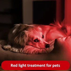 ZEXI beauty product electric red and blue home use beauty 4 color whitening red light therapy for foot