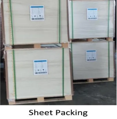 Premium Duplex board with grey back China Factory Price Raw Material Jumbo roll or sheet size 190-550gsm