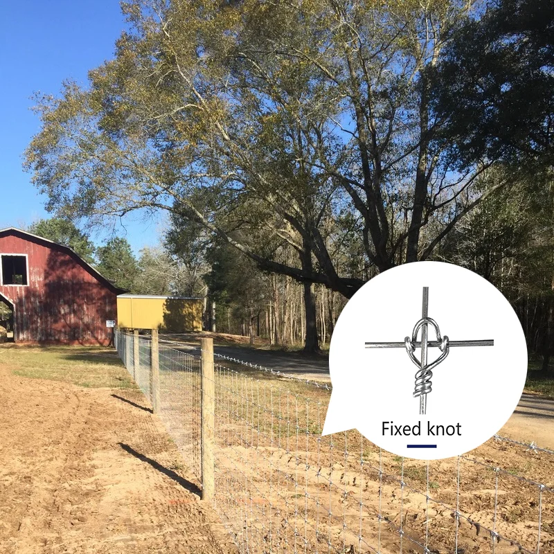 Hot Dip Galvanized Farm Fence Easy Installed 50PMTR Wire Mesh Roll Metal Frame with Post Caps & Hardware for Farm Fencing