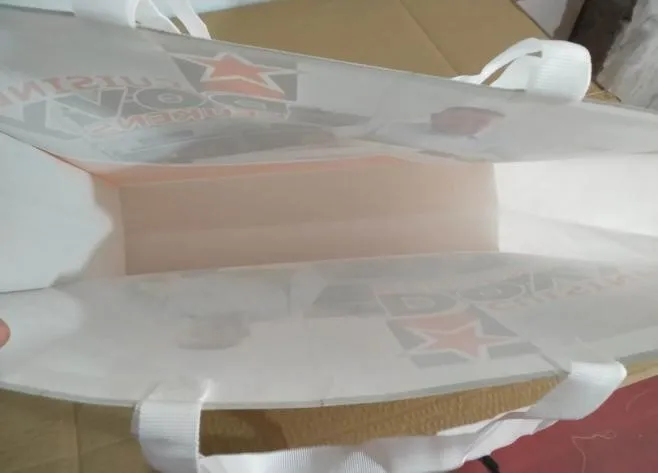 Non Woven Bags Inspection Service and Quality Control in Wenzhou, Zhejiang,China /Pre Shipment Inspection Service