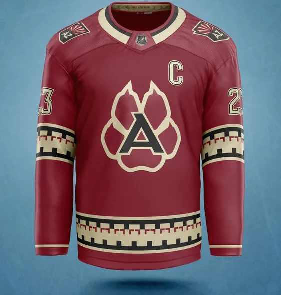 2024 New Style OEM China Factory Custom chicago datsyuk hockey  canadien jerseys wear