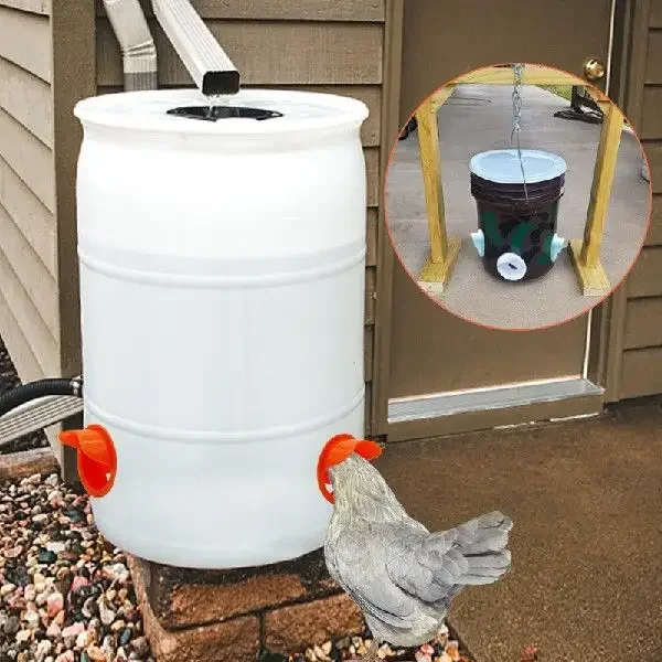 Automatic Poultry Feeder Ports Chicken Feeder Kit chicken feeder and drinker