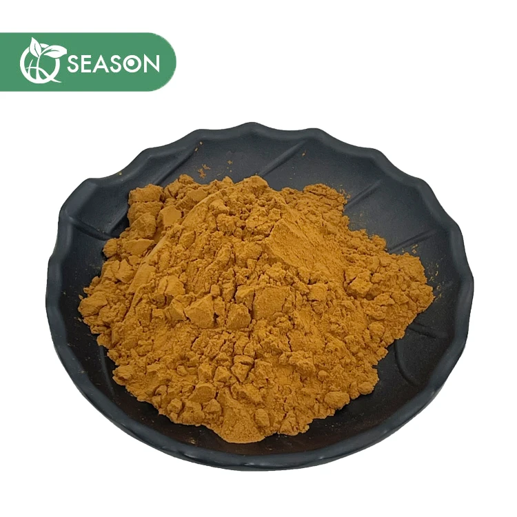 Quality Natural Powder Shilajit Extract 40% Fulvic acid