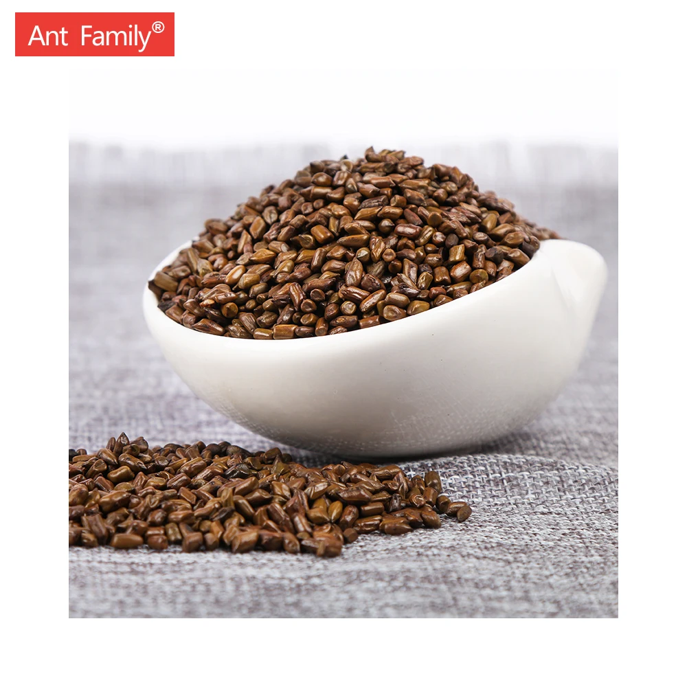 Chinese Drink Whole Baked Semen Cassiae Natural Cassia seed Eye Vision Tea