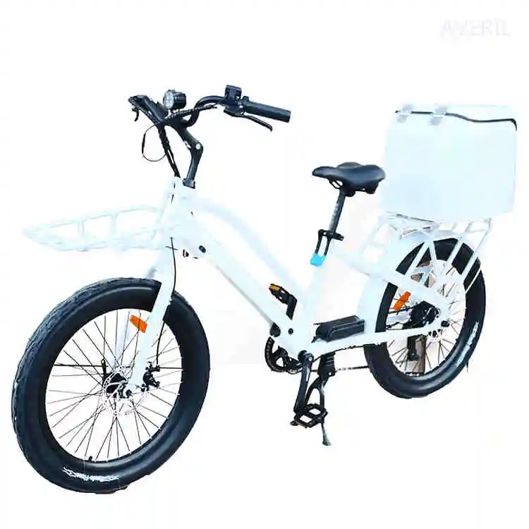 2023 New Bike 2 Wheel Removable Battery Pedal 500w Fat Tire Cargo High Quality with Good Price