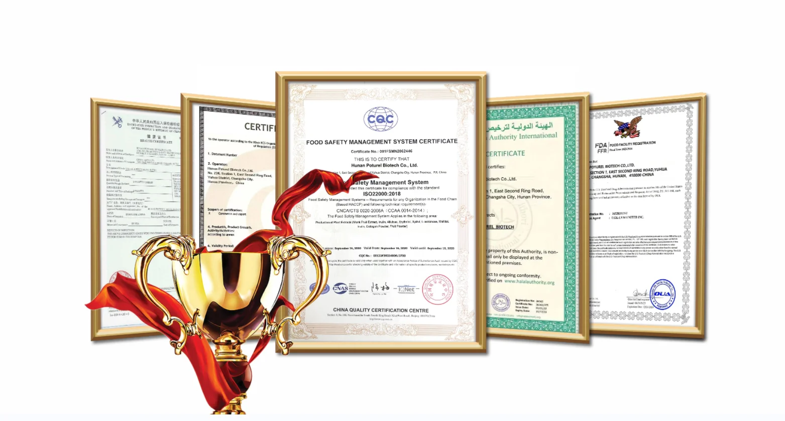 Нулорезный жидкий подсластитель заменяющий сахар аллулозный сироп аллулозы