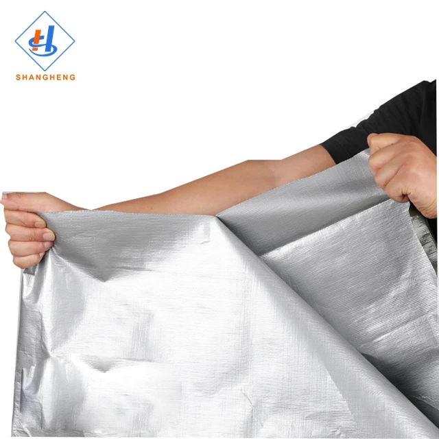 Car Covers Tarpaulin Korea Pe Tarpaulin Market Terpal Roll
