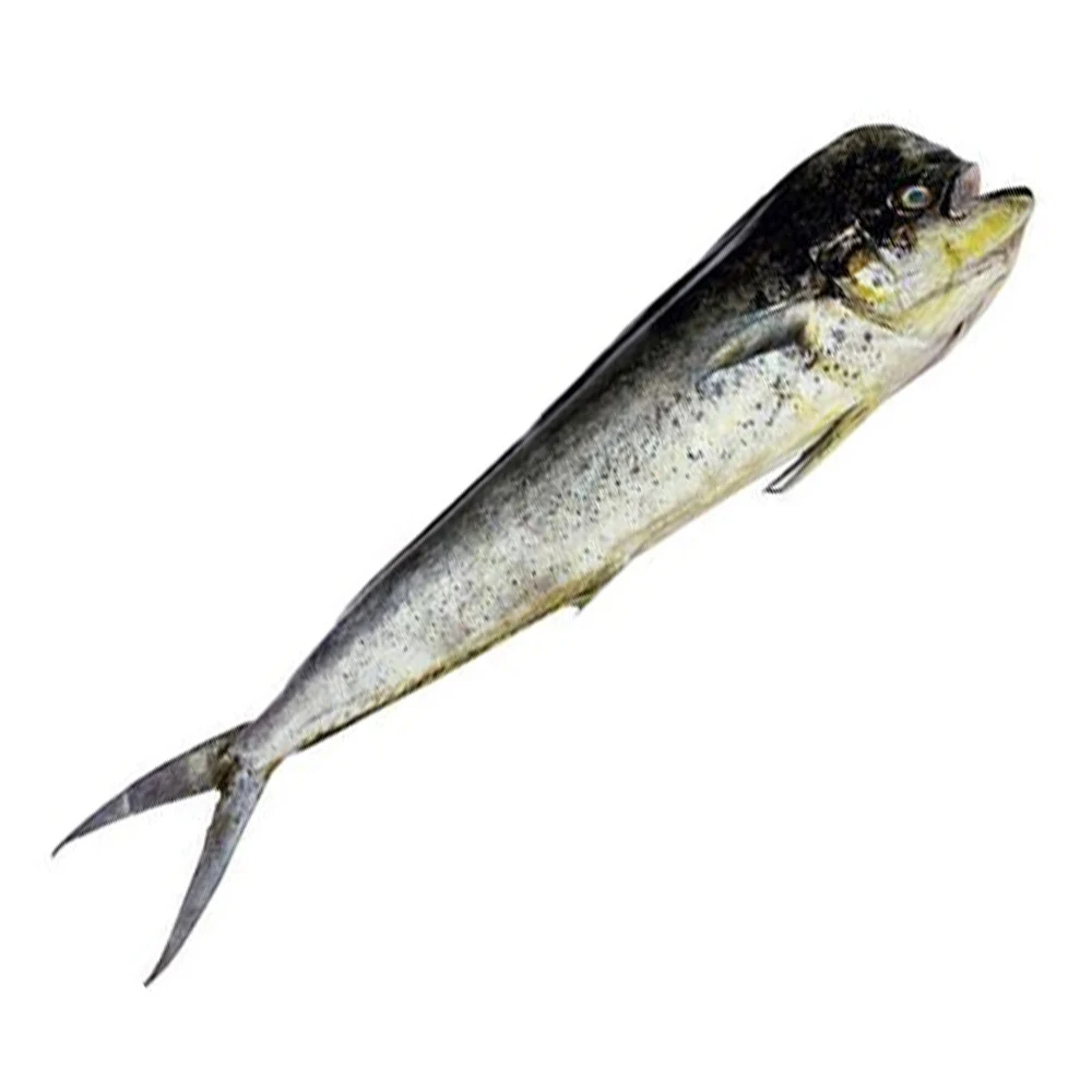 
Лучший Оптовый продукт Mahi хорошее качество и Лучшая цена компании Hai Phu по уникальной цене во Вьетнаме 