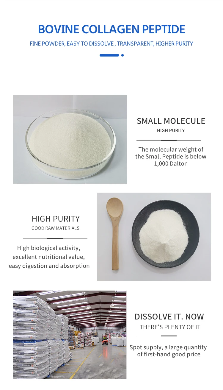 bovine collagen protein