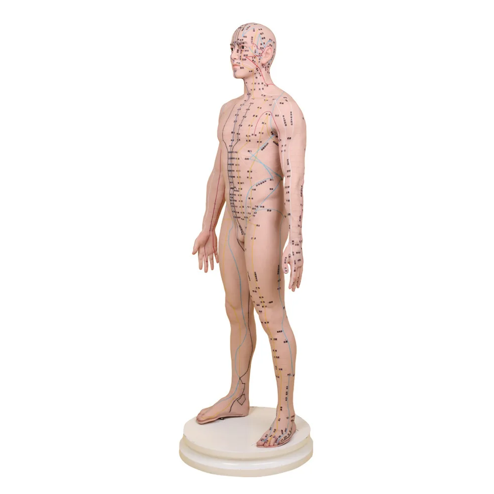 80CM High Quality Soft Silicone Acupuncture Training Model