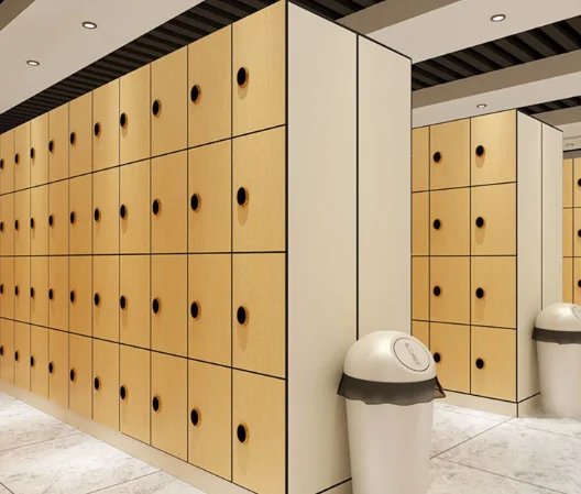 Factory price Brikley compact locker HPL panel modern gym lockers high pressurec laminate sheets HPL locker for gym