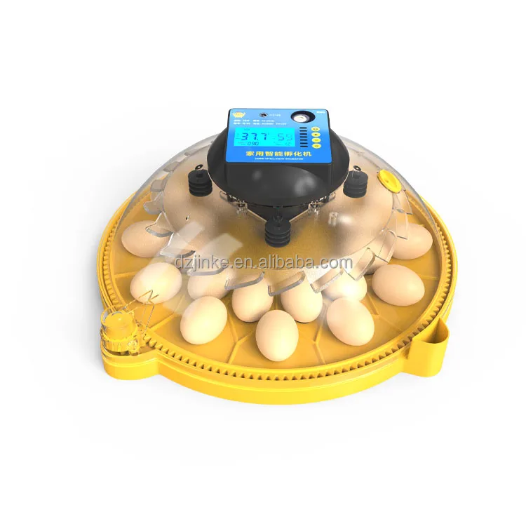 mini Chicken Egg Incubator Hatching machine  12 Eggs capacity Hatcher Machine for sale