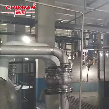 Economic Citric Acid production line
