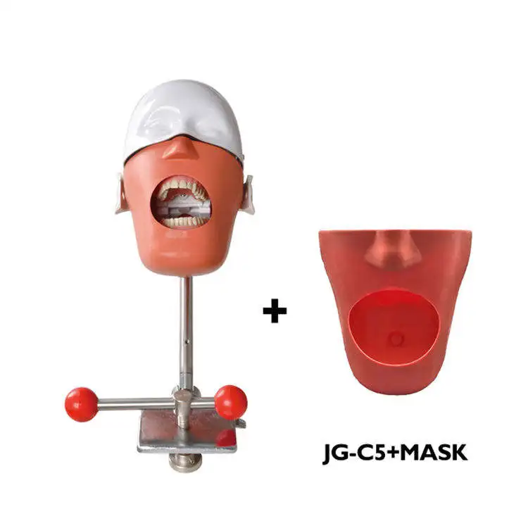 dental teeth model manikin training phantom head instructor workstation