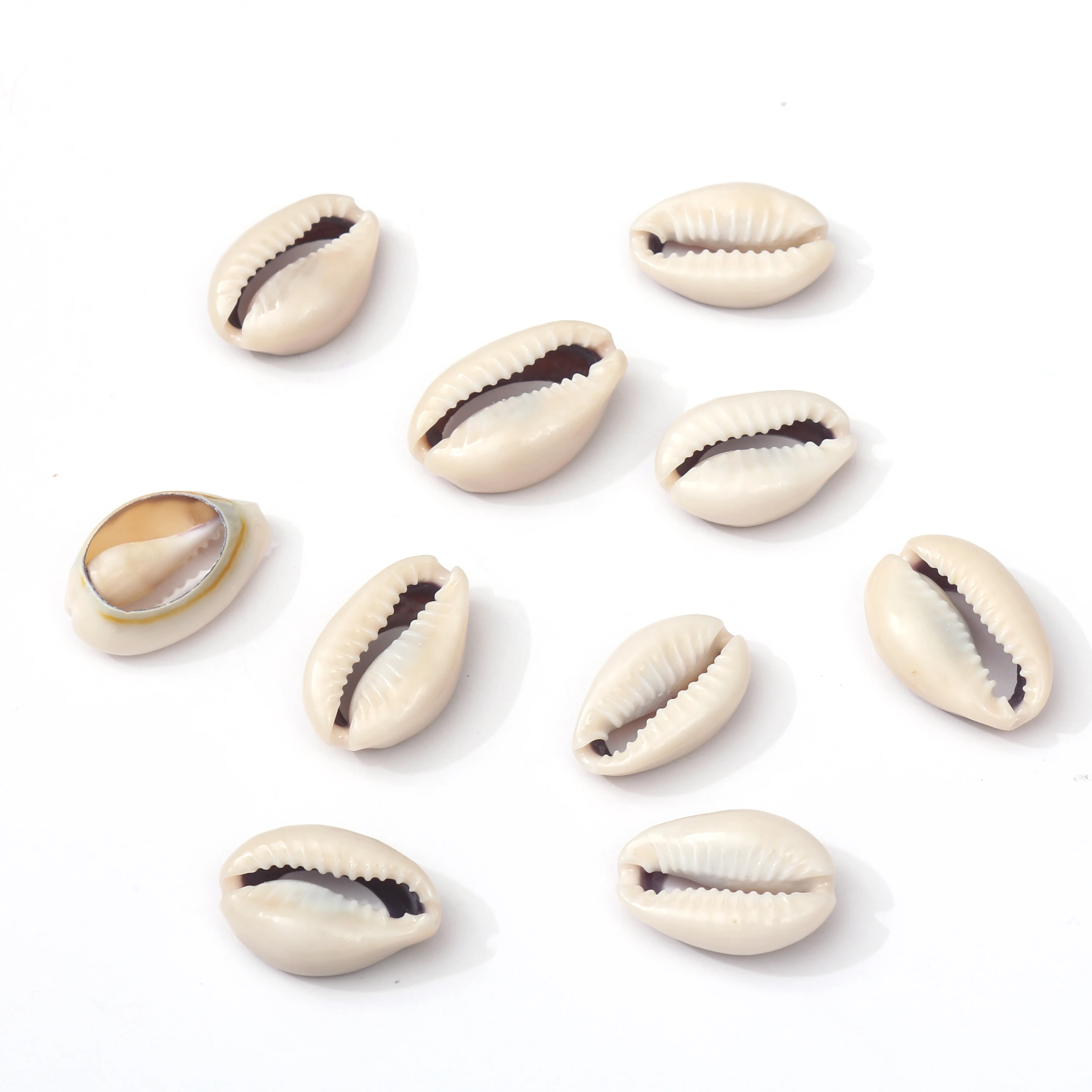Top Selling 10 Pcs Shell Hair Beads For Braids Accessories With Clear Storage Box Natural Shell Pony Beads For Little Girl