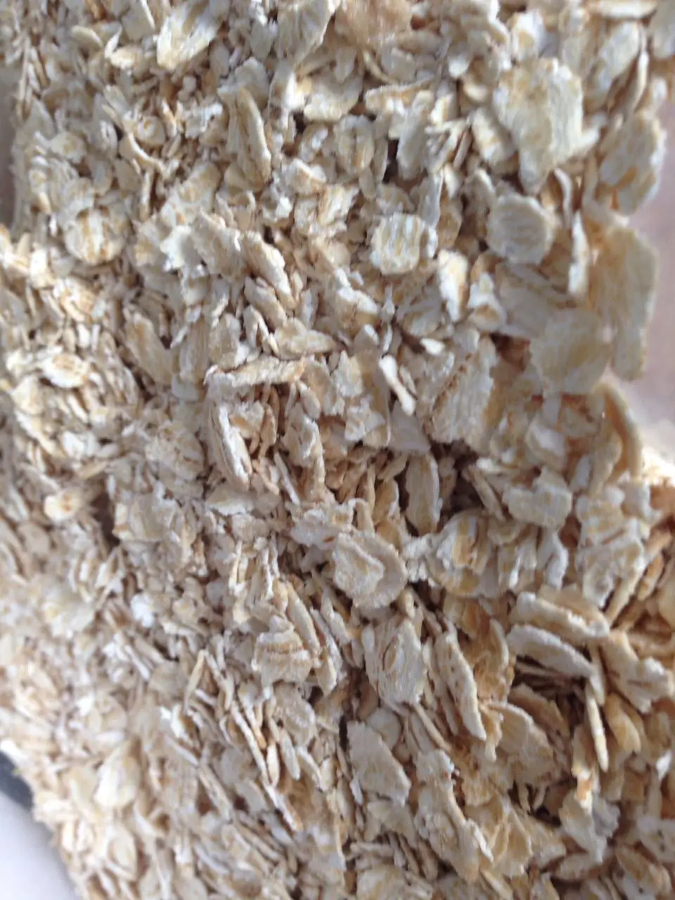 rolled oat  oatmeal