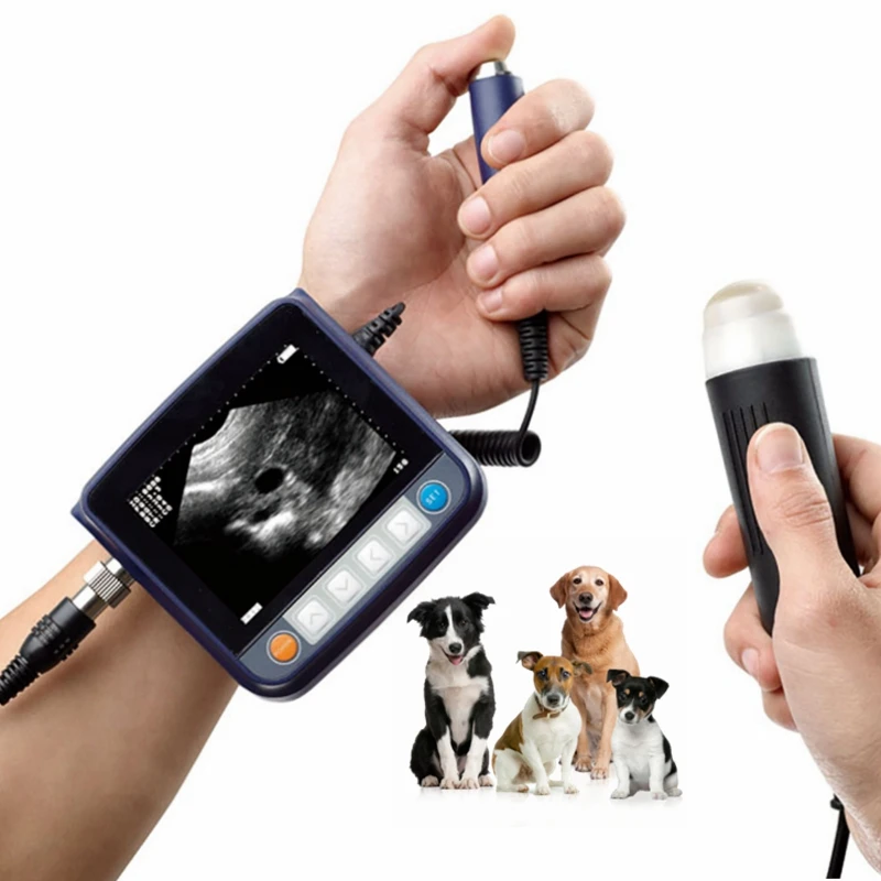 Portable Laptop vet ultrasound scanner equipment For Pet Animal Full Digital Cheapest Laptop veterinary ultrasound