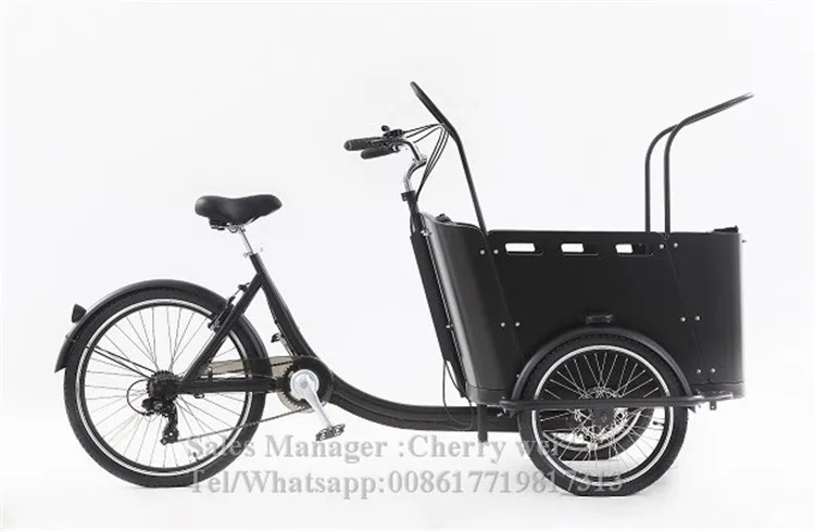 China Loading 200kg cargo bike pickup truck crane three wheel cargo tricycle for sale in philippines malaysia