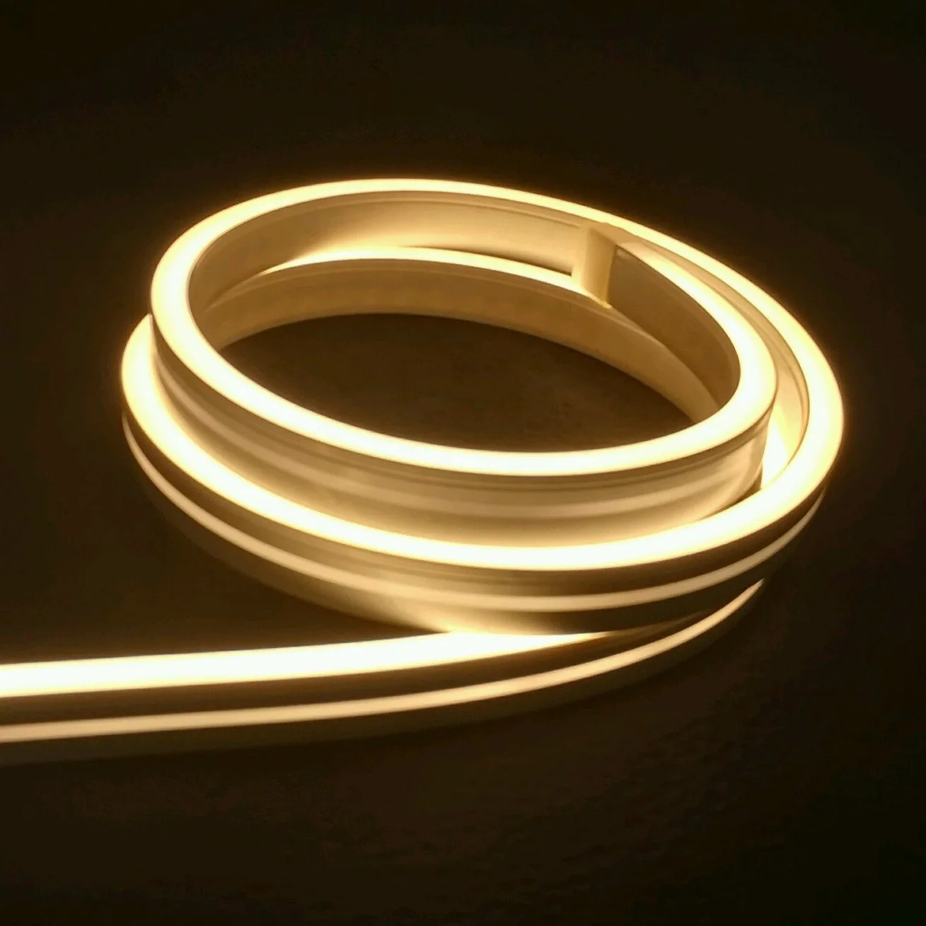 12V 24V 220V 230V 240V RGB smd 2835 5050 outdoor building waterproof IP66/67/68 led neon flex rope tube strip stick light