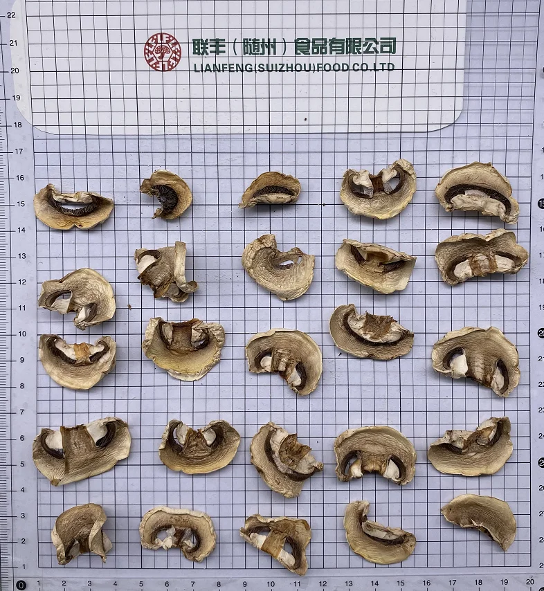 
Wild Dried Funghi Porcini Mushrooms Slices in Bulk Pack 