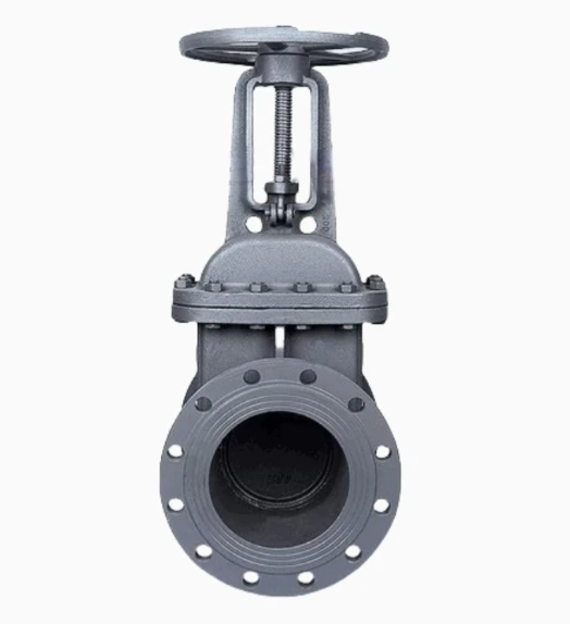 DN100 Manual Stop Gate Valve 30s41nzh for Water Gas and Oil High Temperature Factory Direct from Hebei Zhuningqian