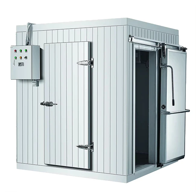 Walk In Cold Room Storage Refrigeration Panel Compressor Containers Freezer For Fruit Fish Meat