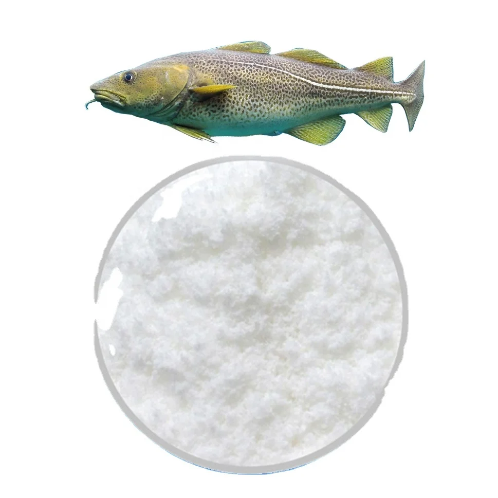High quality pure hydrolyzed scale marine fish  low peptide fish collagen powder portable protein powder