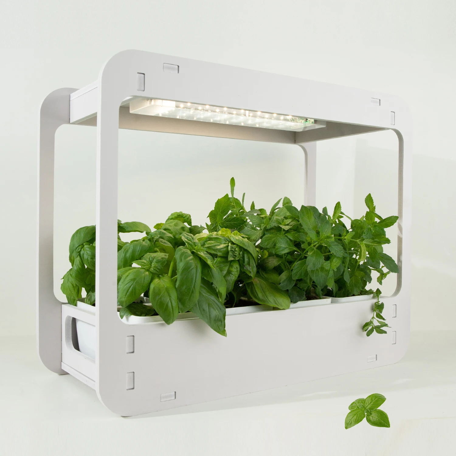 LED Indoor Garden growing plants system indoor led succulent garden smart grow light