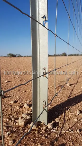 China supplier iron fence pole