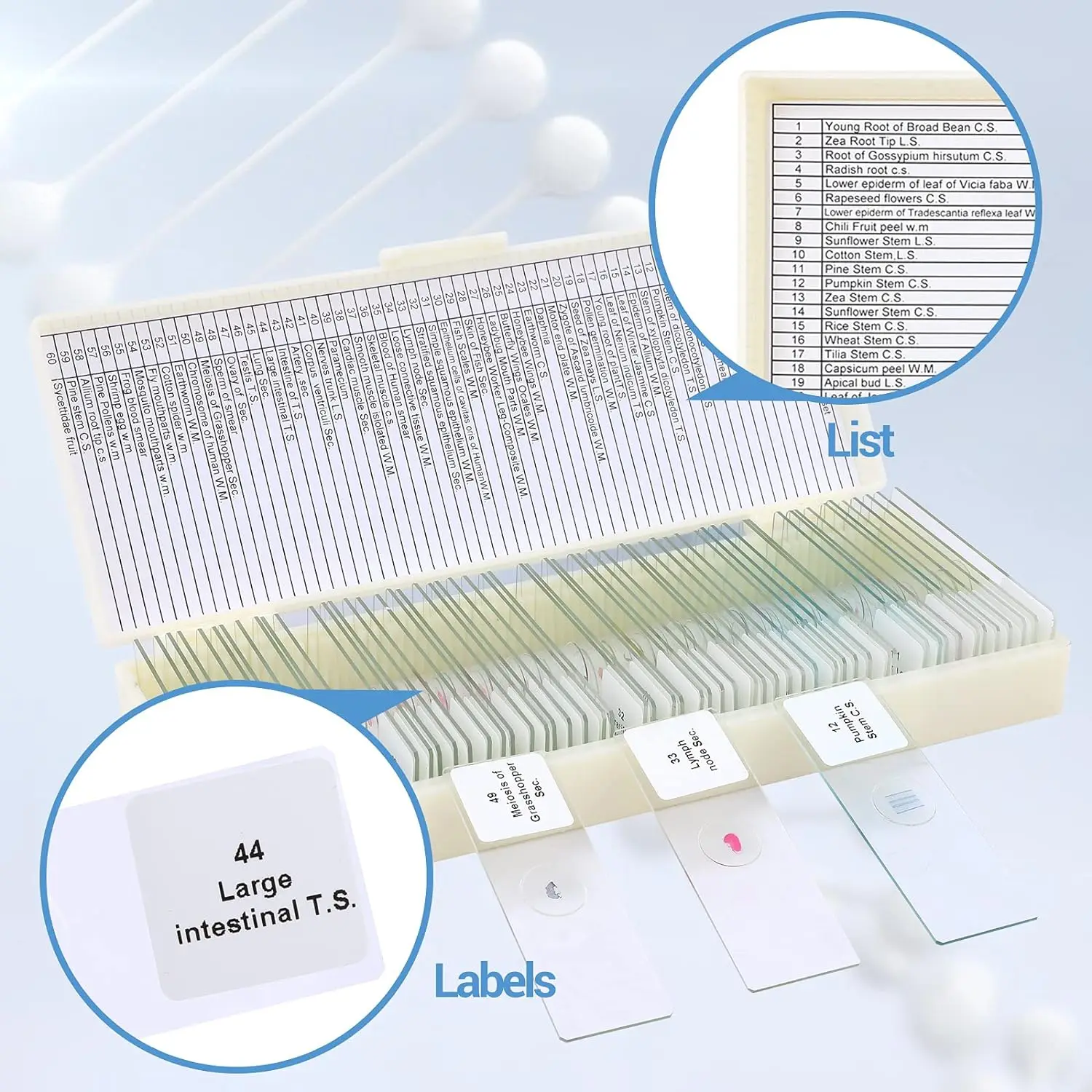 Microscope Slides with Specimens and Kids Adults Prepared Microscope Slides Set for Biological Science Education