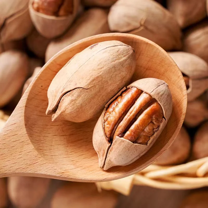 Wholesale High Quality Pecan Nuts for sale