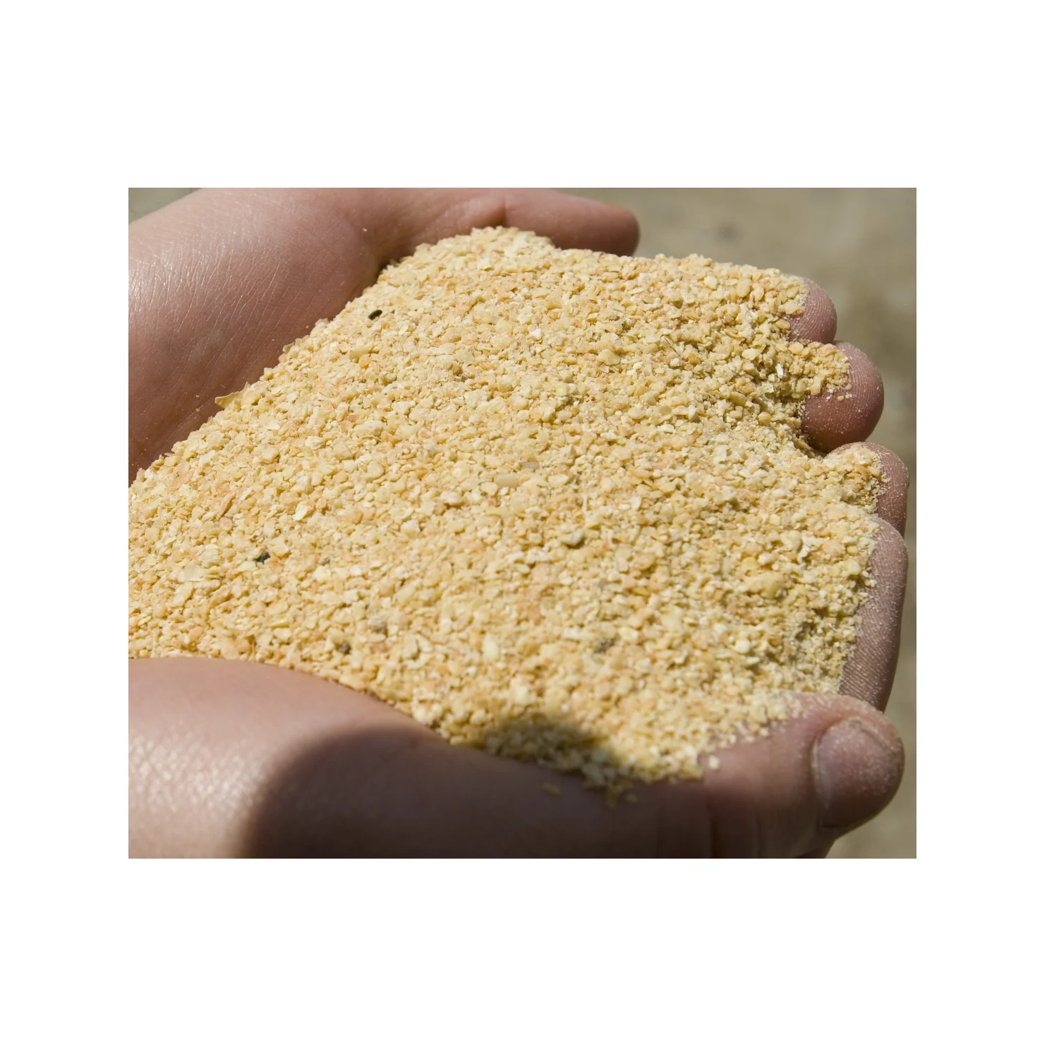 Wholesale Cheap Factory Supply Natural Extract Dry Beans Yellow Soyabean Meal Feed Food Grade for Human and Animal Horse Max Pig