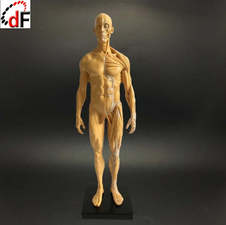 OEM custom 3D printing casting injection molding toys sex adult action figure PVC ABS nylon resin toys sex adult
