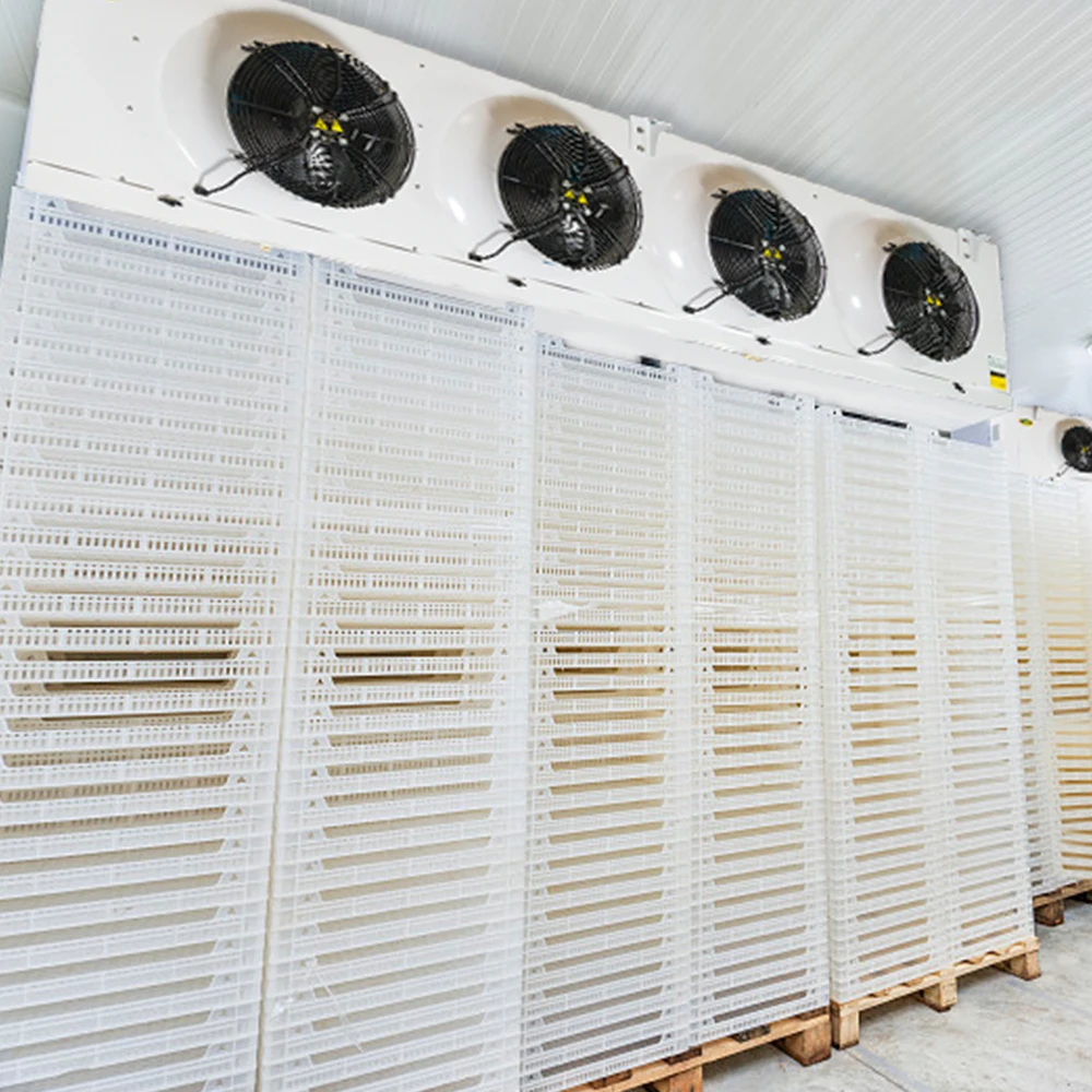 Commerical cold storage condensing unit fish vegetable  chicken deep freezer/refrigeration  cold storage