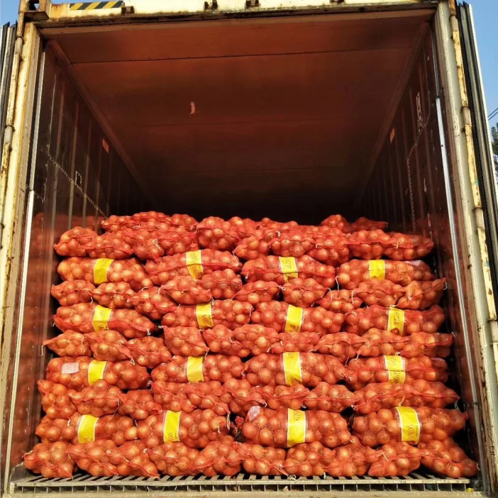 
CHINESE ONION HIGH QUALITY ONION HOT SALE ONION 